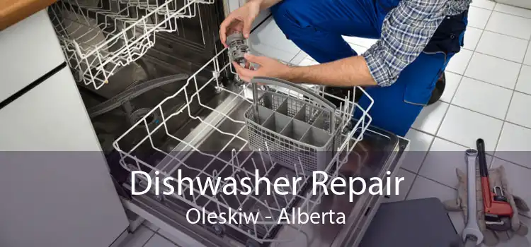Dishwasher Repair Oleskiw - Alberta