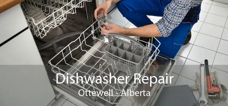 Dishwasher Repair Ottewell - Alberta