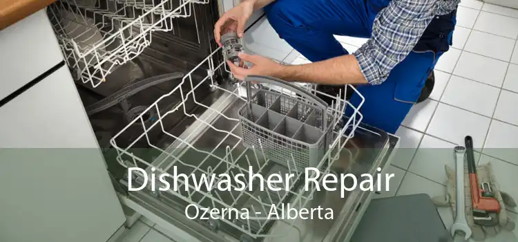 Dishwasher Repair Ozerna - Alberta