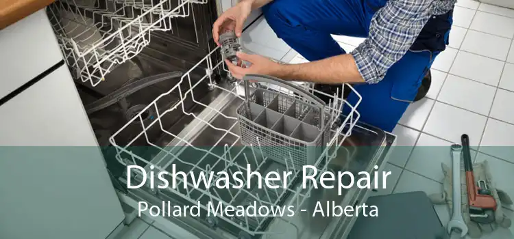 Dishwasher Repair Pollard Meadows - Alberta