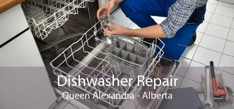 Dishwasher Repair Queen Alexandra - Alberta
