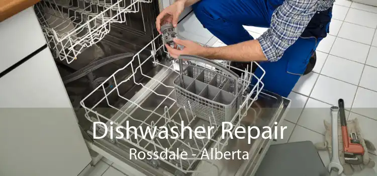 Dishwasher Repair Rossdale - Alberta