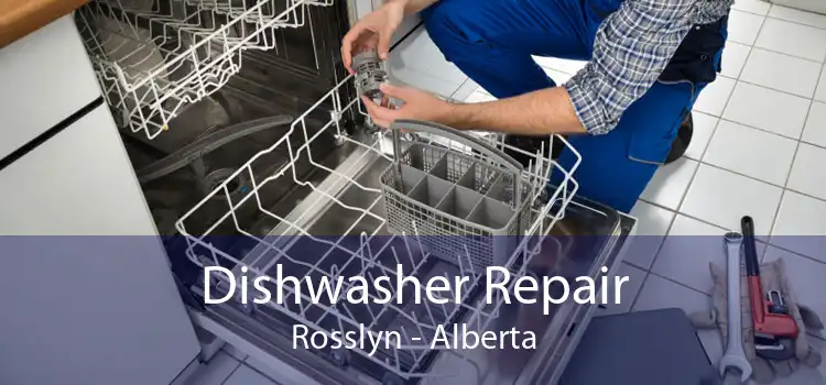 Dishwasher Repair Rosslyn - Alberta