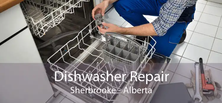 Dishwasher Repair Sherbrooke - Alberta