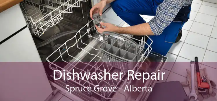 Dishwasher Repair Spruce Grove - Alberta