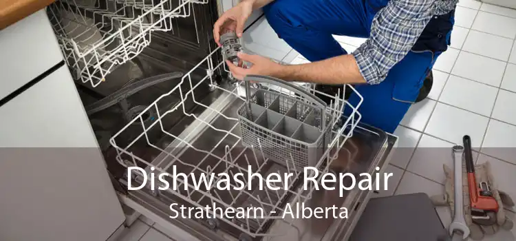 Dishwasher Repair Strathearn - Alberta