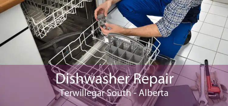 Dishwasher Repair Terwillegar South - Alberta