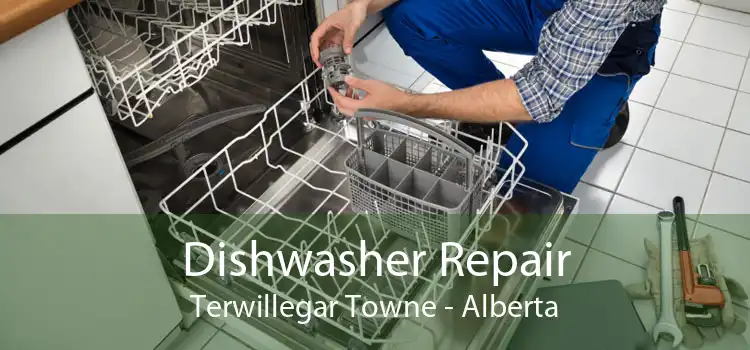 Dishwasher Repair Terwillegar Towne - Alberta