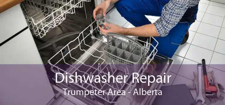 Dishwasher Repair Trumpeter Area - Alberta