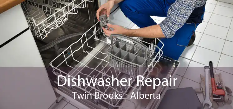 Dishwasher Repair Twin Brooks - Alberta