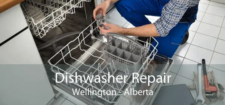 Dishwasher Repair Wellington - Alberta