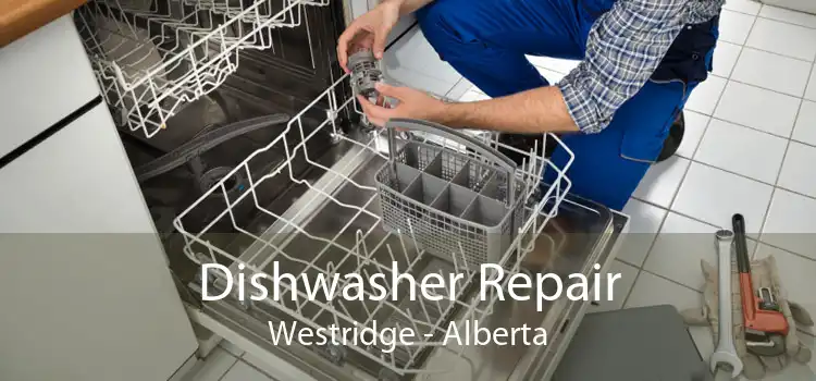 Dishwasher Repair Westridge - Alberta