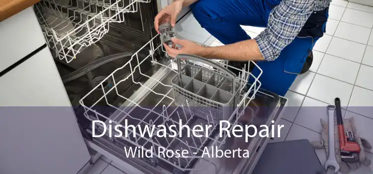 Dishwasher Repair Wild Rose - Alberta