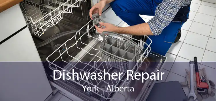 Dishwasher Repair York - Alberta