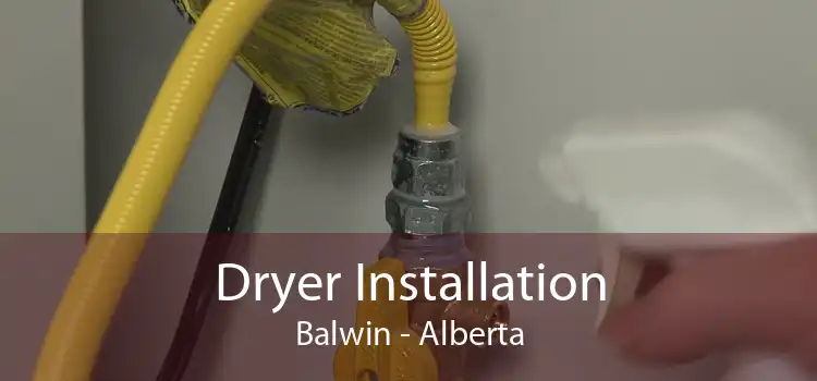 Dryer Installation Balwin - Alberta