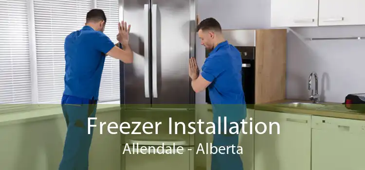Freezer Installation Allendale - Alberta