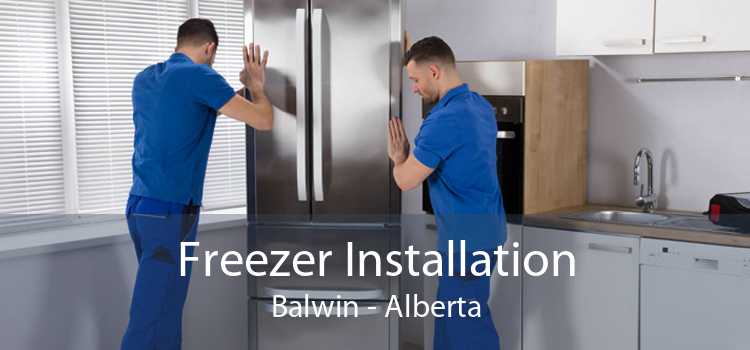 Freezer Installation Balwin - Alberta