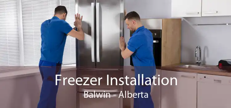 Freezer Installation Balwin - Alberta