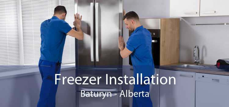 Freezer Installation Baturyn - Alberta