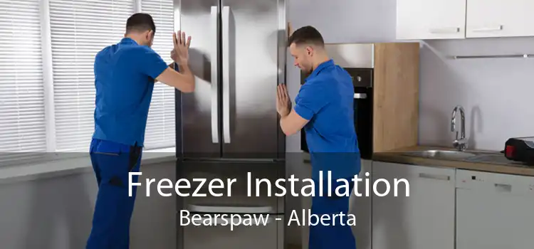 Freezer Installation Bearspaw - Alberta