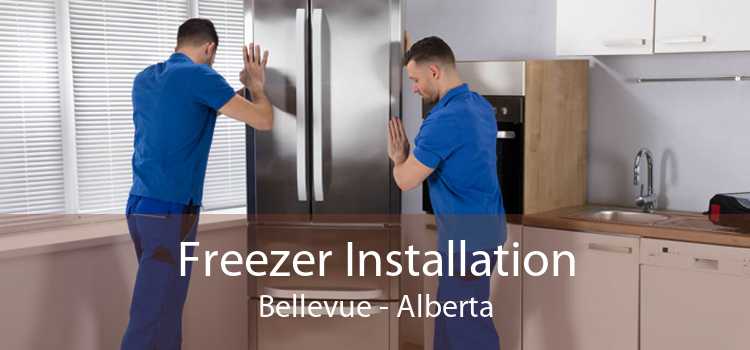 Freezer Installation Bellevue - Alberta