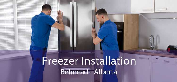 Freezer Installation Belmead - Alberta