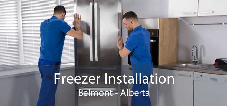 Freezer Installation Belmont - Alberta