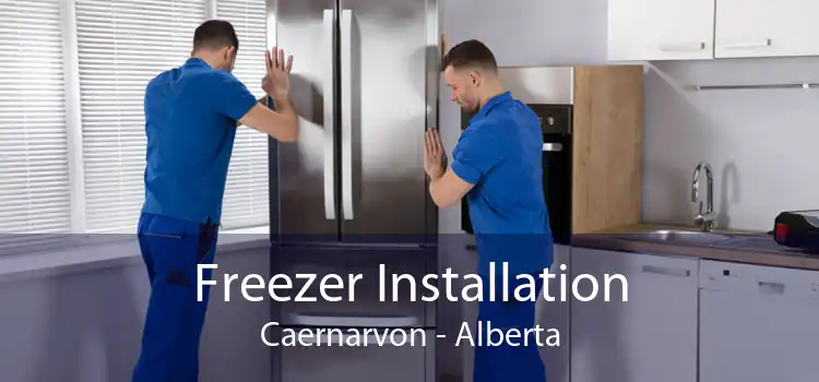 Freezer Installation Caernarvon - Alberta