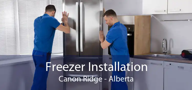 Freezer Installation Canon Ridge - Alberta
