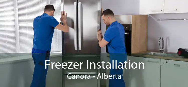 Freezer Installation Canora - Alberta