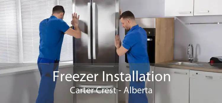 Freezer Installation Carter Crest - Alberta