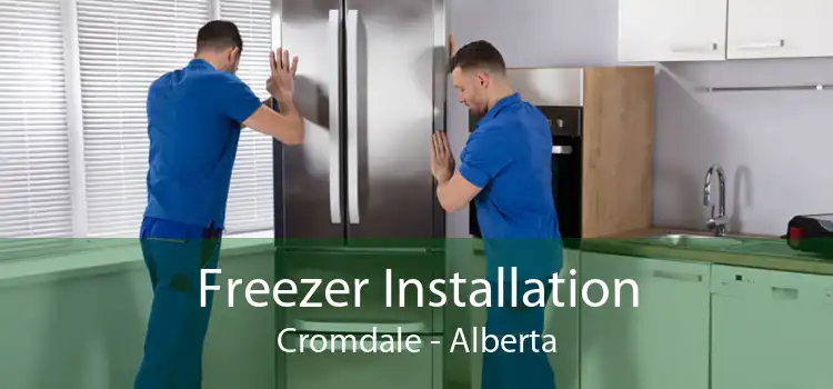 Freezer Installation Cromdale - Alberta