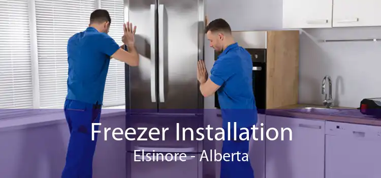 Freezer Installation Elsinore - Alberta