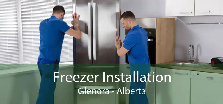 Freezer Installation Glenora - Alberta