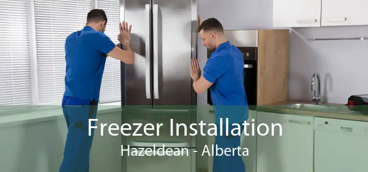 Freezer Installation Hazeldean - Alberta