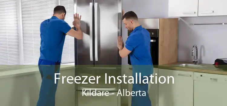 Freezer Installation Kildare - Alberta