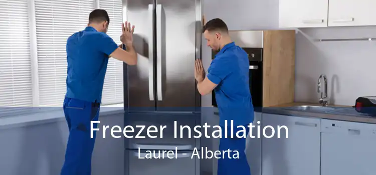 Freezer Installation Laurel - Alberta