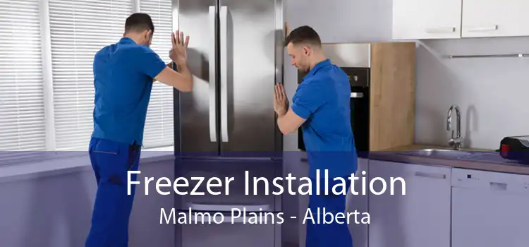 Freezer Installation Malmo Plains - Alberta