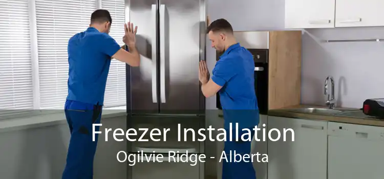Freezer Installation Ogilvie Ridge - Alberta