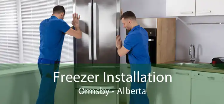 Freezer Installation Ormsby - Alberta