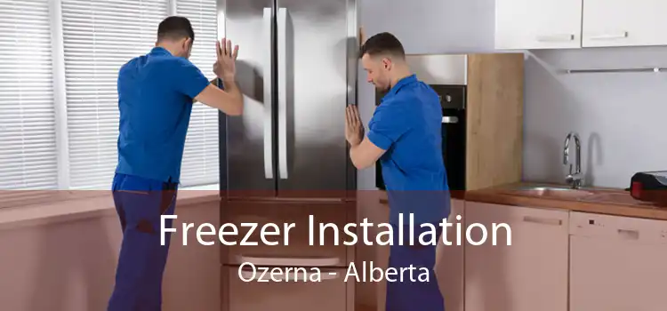 Freezer Installation Ozerna - Alberta