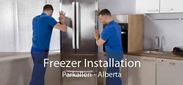 Freezer Installation Parkallen - Alberta