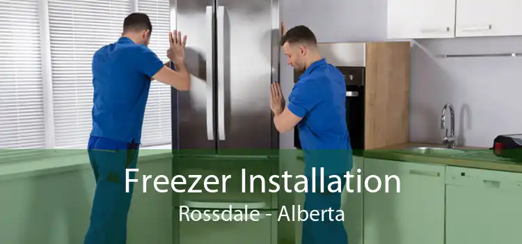 Freezer Installation Rossdale - Alberta