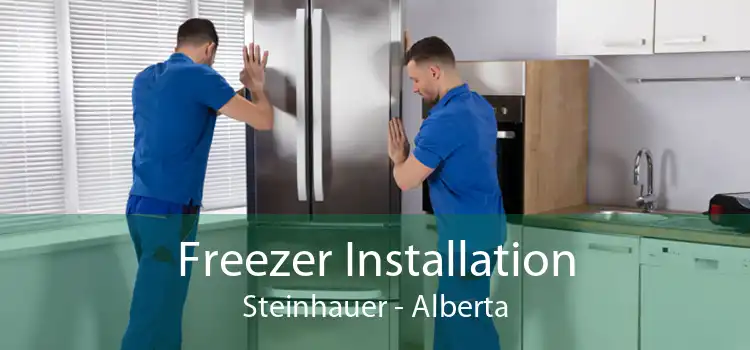 Freezer Installation Steinhauer - Alberta