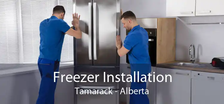 Freezer Installation Tamarack - Alberta