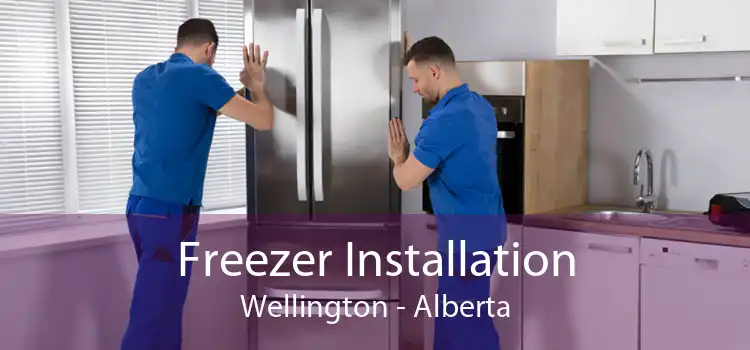 Freezer Installation Wellington - Alberta