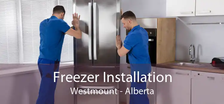 Freezer Installation Westmount - Alberta