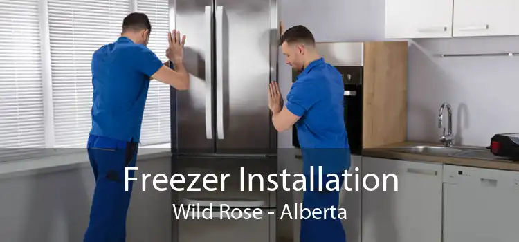 Freezer Installation Wild Rose - Alberta