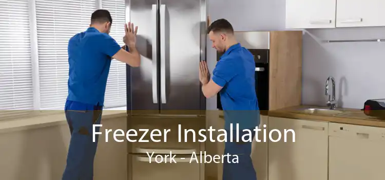 Freezer Installation York - Alberta