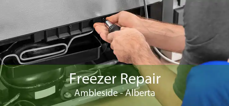 Freezer Repair Ambleside - Alberta